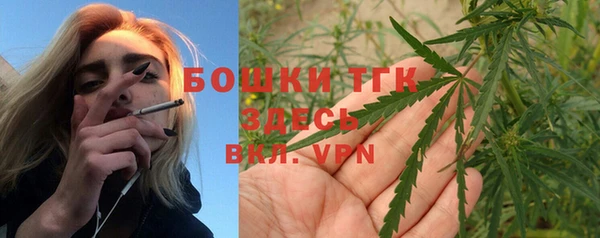 apvp Горнозаводск