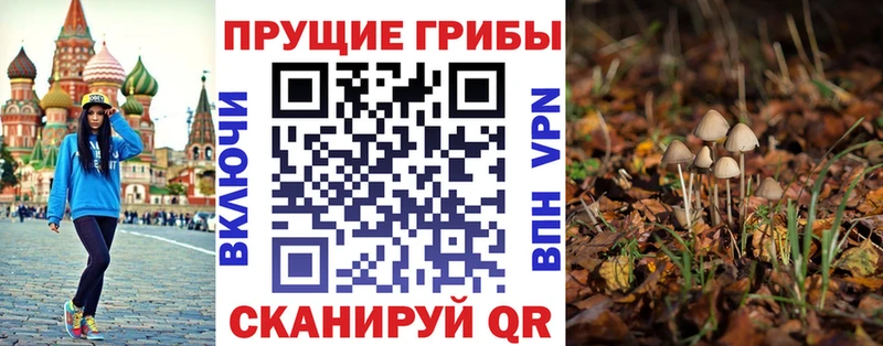 Галлюциногенные грибы мицелий  Купить  Нерехта 